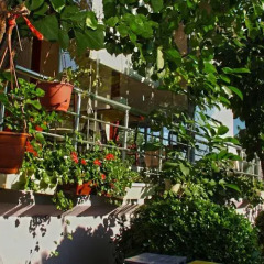 Erdek Kirtay Hotel Мармара фото 4