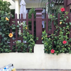 Отель Qua Cam Tim Homestay Хойан фото 3
