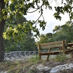 Отель Masseria Mazzalorsa Альберобелло фото 12