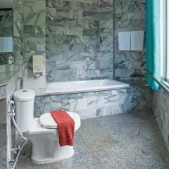 Green House Hotel 2* Улучшенный номер с различными типами кроватей фото 4