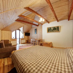 Семейный отель Горный Прутец 3* Полулюкс с различными типами кроватей фото 3