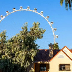 Отель Holiday Inn Club Vacations: Las Vegas at Desert Club Resort США, Лас-Вегас - отзывы, цены и фото номеров - забронировать отель Holiday Inn Club Vacations: Las Vegas at Desert Club Resort онлайн приотельная территория