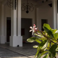 Hotel Nilwala интерьер отеля