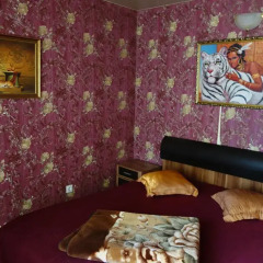 Гостиница Guest House Safari Улучшенный номер с разными типами кроватей фото 5