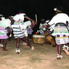 Отель Mashovhela Bush Lodge развлечения