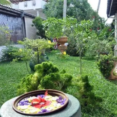 Отель Ganga Garden Шри-Ланка, Бентота - отзывы, цены и фото номеров - забронировать отель Ganga Garden онлайн фото 2