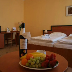 Отель EA Hotel Esplanade Чехия, Карловы Вары - 2 отзыва об отеле, цены и фото номеров - забронировать отель EA Hotel Esplanade онлайн в номере