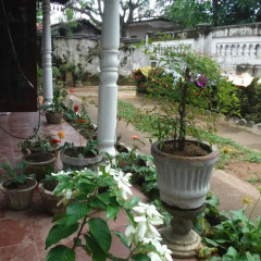 New negombo beach hostel фото 6