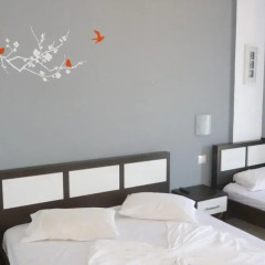 Hotel Summer Dream детские мероприятия