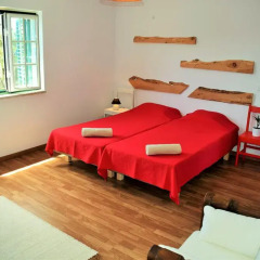 Отель Roots Guesthouse комната для гостей фото 3