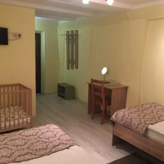 Гостиница Авиатор 3* Стандартный номер с различными типами кроватей фото 25