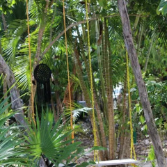Отель Villa Tulum Hotel Италия, Рим - отзывы, цены и фото номеров - забронировать отель Villa Tulum Hotel онлайн фото 9