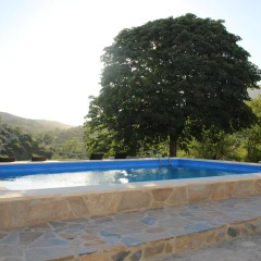 Отель Casa El CastaÑo Алькаудете бассейн фото 2