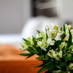 Hotel Estadio 3* Номер Делюкс с различными типами кроватей фото 7