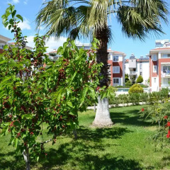 Belek 1 Турция, Белек - отзывы, цены и фото номеров - забронировать отель Belek 1 онлайн фото 2
