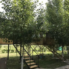 Отель Crossway Camping Армения, Ехегнадзор - отзывы, цены и фото номеров - забронировать отель Crossway Camping онлайн фото 7