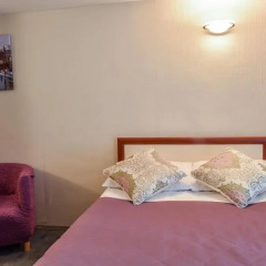 Nevskij Ryad-Pushkinskaya Mini-Hotel Стандартный номер