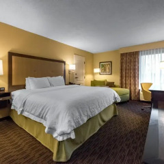 Отель Hampton Inn Meridian 2* Стандартный номер с различными типами кроватей фото 24