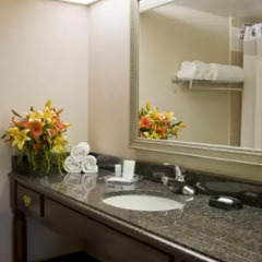 Отель Holiday Inn Washington-Capitol 3* Стандартный номер с различными типами кроватей фото 3
