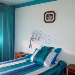 Отель Albergue Pension Flavia Стандартный номер фото 2