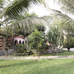 Отель Negolodge Апартаменты с различными типами кроватей фото 32