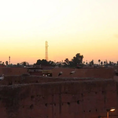 Отель Young and Happy Marrakech Марокко, Марракеш - отзывы, цены и фото номеров - забронировать отель Young and Happy Marrakech онлайн фото 2