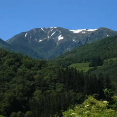 Отель Los Chalets De Bores фото 2