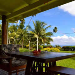 Отель Daku Resort Savusavu 3* Номер категории Эконом с различными типами кроватей фото 2