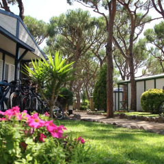 Отель Camping Bella Terra Испания, Бланес - отзывы, цены и фото номеров - забронировать отель Camping Bella Terra онлайн