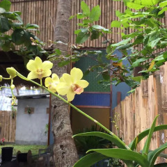 Hey beach hostel Ланта фото 3