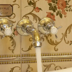Limak Thermal Boutique Hotel в номере