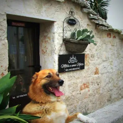 Отель Trulli Mille e una Notte Альберобелло с домашними животными