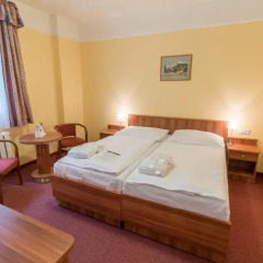 Spa Hotel Vltava 3* Номер Комфорт с двуспальной кроватью фото 2