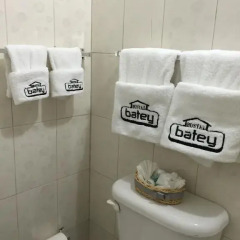 Batey Hotel Boutique 2* Стандартный номер с различными типами кроватей фото 4