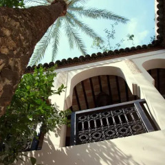 Отель Riad Palmier Марокко, Марракеш - отзывы, цены и фото номеров - забронировать отель Riad Palmier онлайн фото 8
