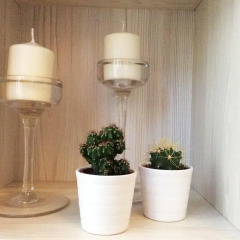 Отель Apartamentos Leganitos 9 спа