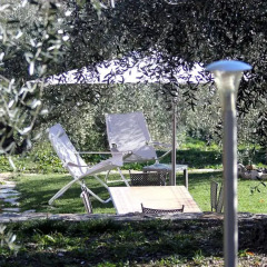 Отель Casa vacanze gli ulivi Боргомаро фото 5