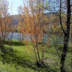 Отель La Casa Sul Fiume Сарцана приотельная территория