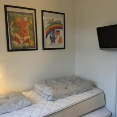 Отель Danhostel Odense City 5* Стандартный номер с различными типами кроватей фото 5