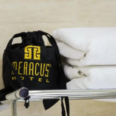 Meracus Hotel 3* Стандартный номер с различными типами кроватей фото 3