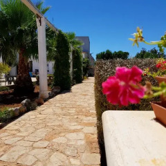 Отель B&B Masseria San Dana Гальяно дель Капо фото 13