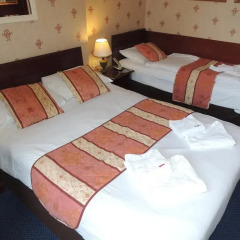 Dolphin Hotel 3* Стандартный номер фото 7
