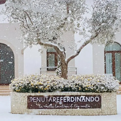 Отель Tenuta Re Ferdinando Капуя фото 2