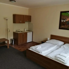 Апартаменты Apartments U Svejku Апартаменты с различными типами кроватей фото 16