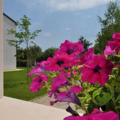 Отель B&B Tessyhouse Италия, Спинеа - отзывы, цены и фото номеров - забронировать отель B&B Tessyhouse онлайн фото 5