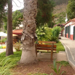 Отель Quinta Vista Mar do Arco