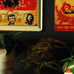 Chengdu Camel Grass Inn-Dangxia Hostel интерьер отеля