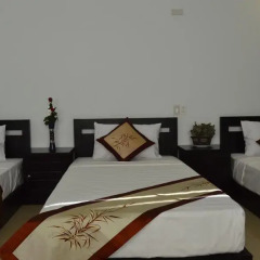Отель Hoian Succulent Homestay 2* Номер Делюкс с различными типами кроватей фото 6