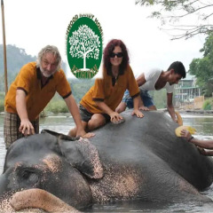 Отель Greenwood Kandy Homestay