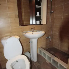 Coskun House Турция, Стамбул - отзывы, цены и фото номеров - забронировать отель Coskun House онлайн ванная